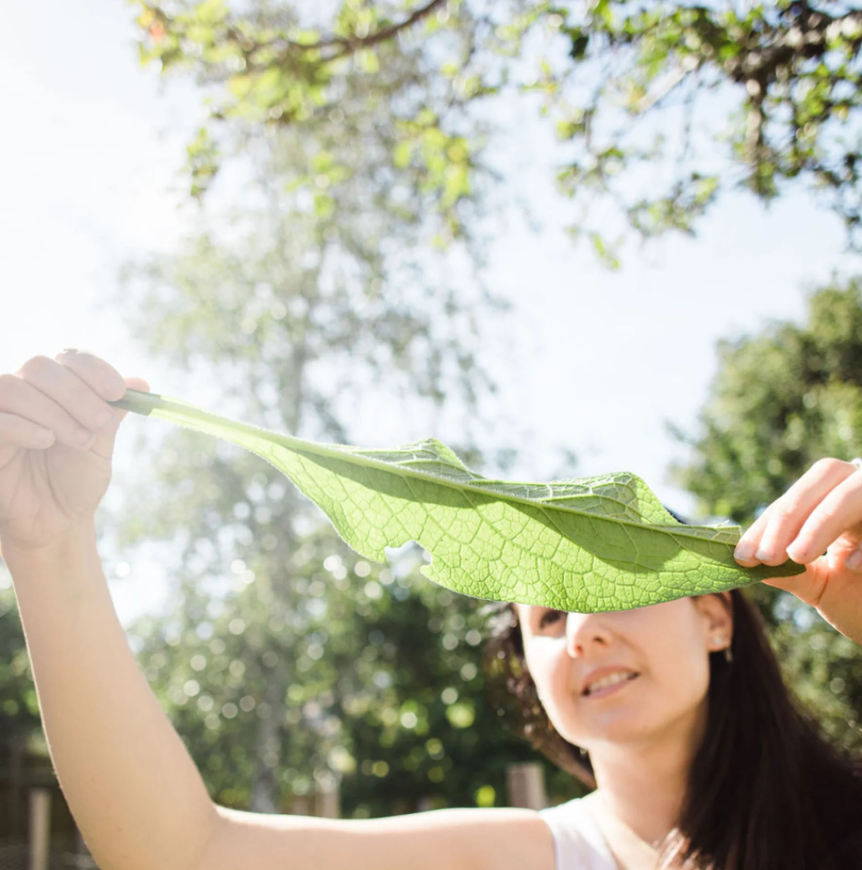 Clarity Oil - Image 5