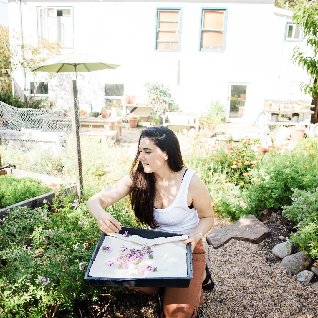 Rose Geranium Hydrosol - Image 7