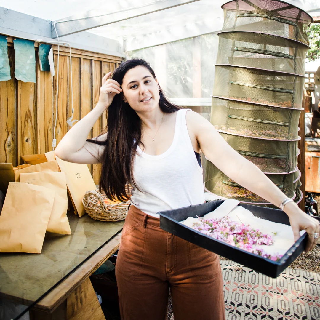 Rose Geranium Hydrosol - Image 9