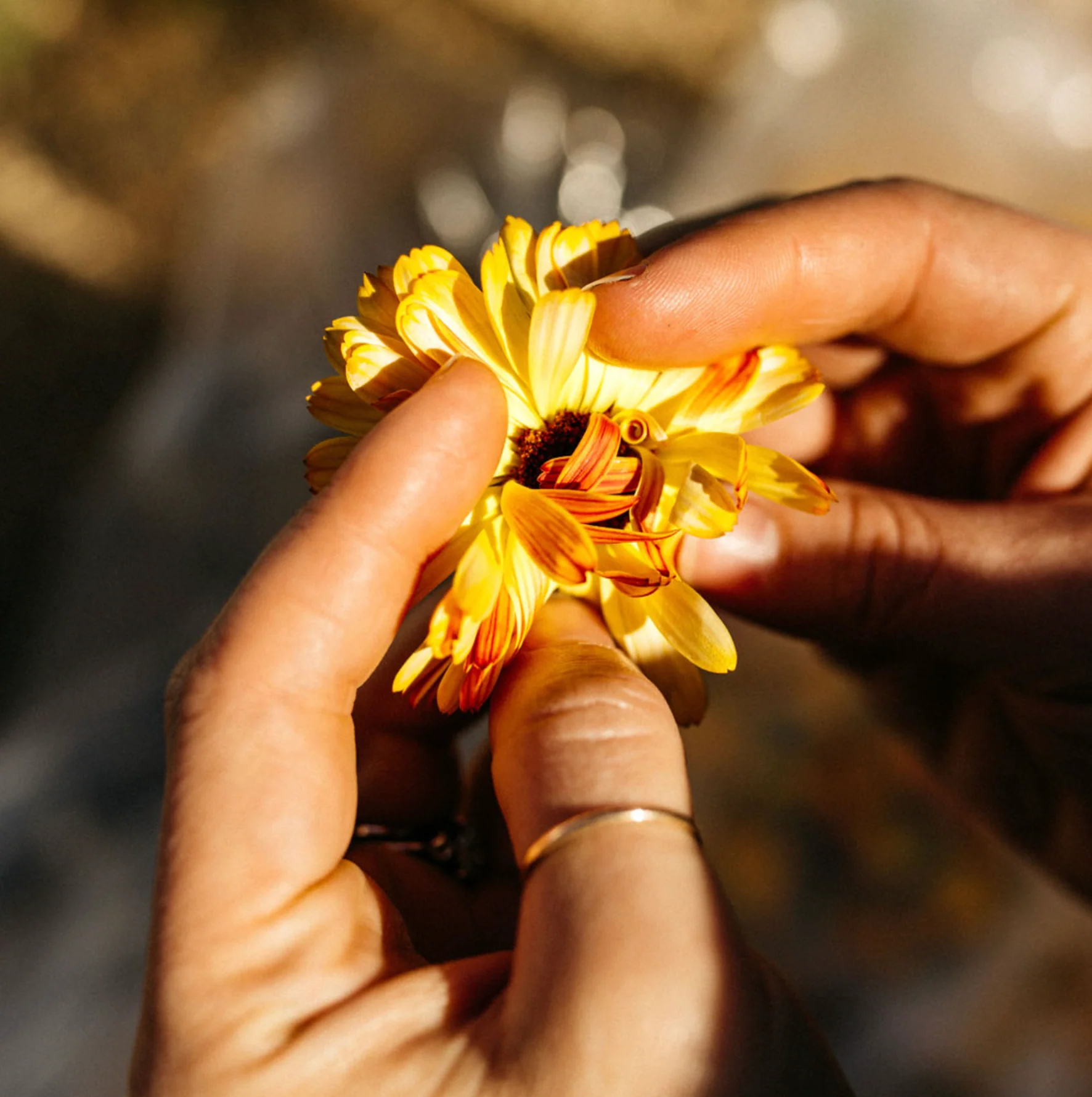 Travel Essential Enzymes - Image 5