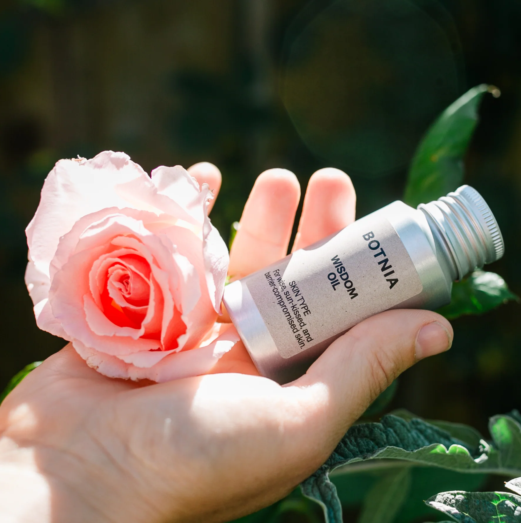 Wisdom Oil - Image 5